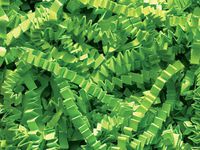 Pack of 1, Lime Crinkle Cut Paper Shred 40 Lb Spring-Fill Shred for Baskets, Basket Boxes, Bags, Containers & Nested Boxes