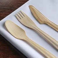 Rantepao 500 Pcs Disposable Natural Birchwood Long Handle Knives Party Wedding Silverware