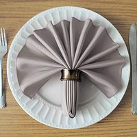 UNIWARESAL Pure Cotton Napkins 16 inch for Dinner Table, Restaurant, Wedding, and Regular Home Uses Ultra Soft Cotton Fabric Pack of 10 - Light Grey