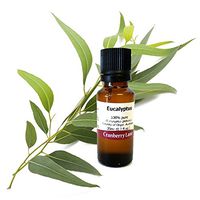 Eucalyptus 100% Pure Essential Oil 5ml