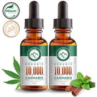(2 Pack) Organic Hemp Oil - 10,000MG - Cinnamint Flavor, Mushroom Infused for Enhanced Bioavailability - Made in USA - Anti-Inflammatory, Hip & Joint Support, Rich in Omega 3 Fatty Acid