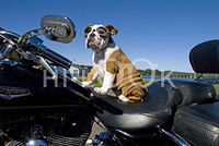 Hi-Look Microfiber Cleaning Cloth - bodhi