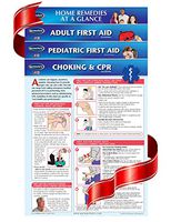 First Aid Charts - 4 Laminated Medical First Aid Guides for The Home or Workplace - Quick Reference by Permacharts
