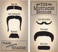 HomArt Large Decorative Mustache Brigade Matches