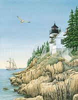 Hi-Look Microfiber Cleaning Cloth - Bass Head Lighthouse