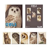 Boxed Set of 15 Wildlife Note Cards with Envelopes (Audubon Owls)
