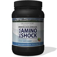 BCAA Amino Shock Supplement | Fresh Melon Flavored | Promotes Lean Muscle Growth | Promotes Tissue Repair | Enhanced Performance | 292 Grams