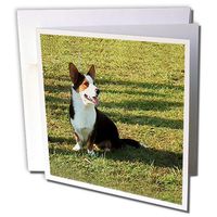 3dRose Welsh Cardigan Corgi - Greeting Cards, 6 x 6 inches, set of 6 (gc_963_1)