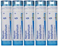 Boiron Natrum Sulphuricum 6C (Pack of 5), Homeopathic Medicine for Bronchial Irritation