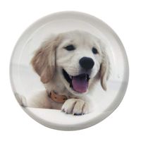 Waltz&F Crystal Small Dog Paperweight Galss Globe Hemisphere Home Office Table Decoration