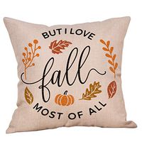 Indexshop Fall Quotes Saying Throw Pillow Cover, Thanksgiving Holiday Greetings Pillows Cotton Linen Cushion Case for Sofa Couch 18x18 Inches (A)