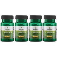Swanson L. Plantarum Probiotics Bowel Regularity Gas Bloating Immune Support Gastrointestinal Balance 10 Billion CFU Supplement 30 Veggie Capsules (4 Pack)