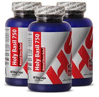 Ashwagandha holy Basil - HOLY Basil Extract - Cognitive Health Support (3 Bottles)