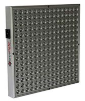 TrueLight by TrueDark Energy Square -Light Therapy Device For Muscle Recovery and Pain Relief