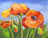 Hi-Look Microfiber Cleaning Cloth - Orange Beauty