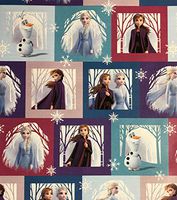 Disney Frozen Wrapping Paper Gift Wrap (3.33 Feet Wide - 60 Sq Feet)