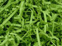 4oz Bag Heavy Duty Oasis Green Gift Basket Shred Crinkle Paper Grass Filler Bedding nfLG -1738