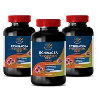 antioxidant Supplement - Echinacea Extract & Goldenseal Root 300 Mg Complex - goldenseal Pills - 3 Bottles (180 Capsules)