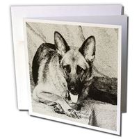 3dRose German Shepherd Greeting Cards, Set of 12 (gc_4621_2)