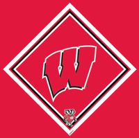 University of Wisconsin Micro-Fiber Cleaning Cloth