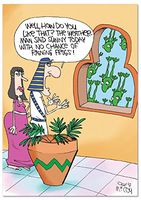 NobleWorks ''Raining Frogs'' Funny Passover Greeting Card, 5" x 7" (C1633PAG)