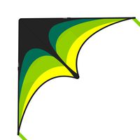 Mint's Colorful Life Delta Kite for Kids & Adults, Extremely Easy to Fly Kite with 2 Ribbons and 300ft Kite String, Best Kite for Beginner (Black Green)