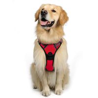 rabbitgoo Dog Harness No-Pull Pet Harness Adjustable Outdoor Pet Vest 3M Reflective Oxford Material Vest for Dogs Easy Control for Small Medium Large Dogs