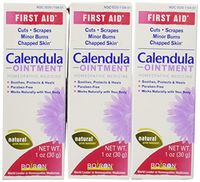 Boiron Calendula Ointment, Homeopathic Medicine for Skin Irritation and Burns, 1 Ounce (Pack of 3)