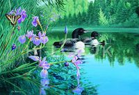 Hi-Look Microfiber Cleaning Cloth - Iris Cover - Loons