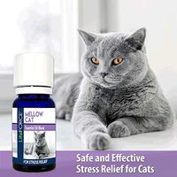 Lifeforce Mellow Cat Essential Blend 10ml