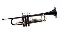 Hawk WD-T314-BK Bb Trumpet with Case and Mouthpiece, Black