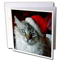 3dRose Christmas Cat - Greeting Cards, 6 x 6 inches, set of 12 (gc_4576_2)