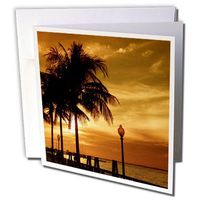 3dRose Tropical Copper - Greeting Cards, 6 x 6 inches, set of 6 (gc_16855_1)