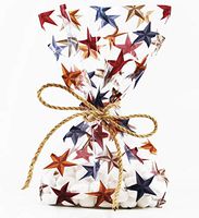Rustic Western Stars Cellophane Treat Party Favor Bags Natural Twine Tie. Set of 10 Ready-to-Use 11x5x3 Clear Goodie Gift Bags & Twine. Clear, Multi