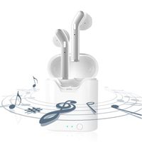 Wireless Earbuds, Bluetooth 5.0 Headphones in Ear with Charging Case, Built-in Mic, Noise Cancelling, IPX7 Waterproof Earbuds for iPhone and Android