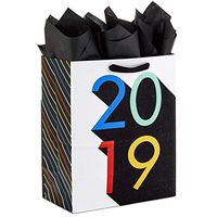 Hallmark 13" Large Gift Bag with Tissue Paper for Graduations (Rainbow, Class of 2019)