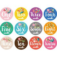 Wodwad First Year Baby Monthly Milestone Photo Sharing Baby Belly Stickers