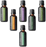 Aromatherapy Top 6 100% Pure Therapeutic Grade Basic Sampler Essential Oil Gift Basic Sampler Essential Oil Gift Set 6-30ML (Tea Tree, Sweet Orange, Lemongrass, Eucalyptus, Lavender, Peppermint)