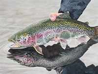 Hi-Look Microfiber Cleaning Cloth - Rainbow Trout