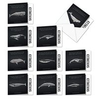 10 Assorted All Occasion Blank Note Cards 'Whale Known' 4 x 5.12 inch w/Envelopes - Informational Notecards, Illustrated Images of Whales - Earth's Largest Sea Animal Assortment Box MQ4960OCB-B1x10