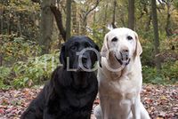 Hi-Look Microfiber Cleaning Cloth - precious & opal