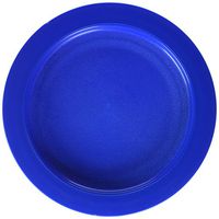 Sammons Preston Plate with Inside Edge, 9" Plate with Food Spill Prevention Aid, Durable Plates with Inner Lip, Eating Support for Children, Adults, Elderly and Disabled, Polypropylene, Blue