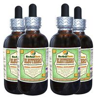 Eleuthero (Eleutherococcus Senticosus) Glycerite, Dried Leaves Alcohol-Free Liquid Extract (Brand Name: HerbalTerra, Proudly Made in USA) 4x4 fl.oz (4x120 ml)