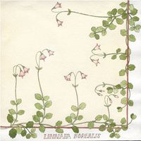Linnea Borealis Flower Luncheon Napkin - Cream