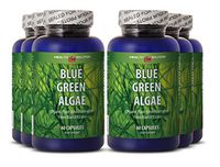Blue Green Algae Powder Organic - Blue Green Algae - Manage Obesity (6 Bottles)