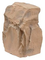 TIC TFS50-CN 8" Outdoor Weather-Resistant Omnidirectional Rock Subwoofer (Canyon)