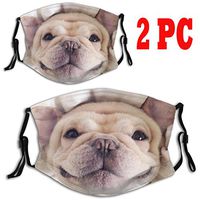 Lovely Pug Dust Mouth Mask - Animal Pet Print Dust Face Mask Surgical Masks Particulate Respirator Reusable 2PC (Cute Dog M)