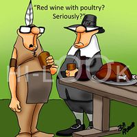 Hi-Look Microfiber Cleaning Cloth - red with poultry