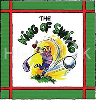 Hi-Look Microfiber Cleaning Cloth - The King Of The Swing