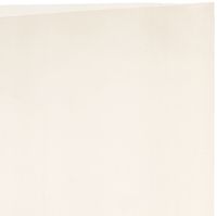 Bauxko 10" x 12" Anti-Static Flat Poly Bags, 2 Mil, 25-Pack (xPBAS505-25)